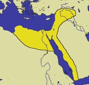 Salahuddin aurait-il 'Aimé' la Palestine d'Aujourd'hui ? 4 la_dynastie_ayyoubide