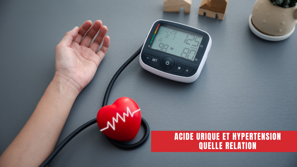 Acide urique et hypertension quelle relation