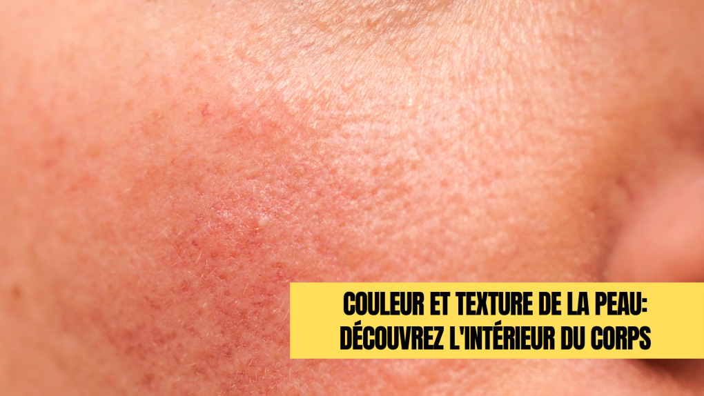 Couleur et texture de la peau découvrez l'intérieur du corps