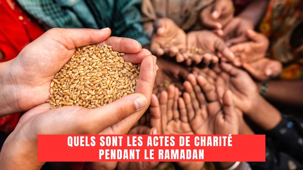 Ramadan 2024: Tout ce qu'il faut savoir sur le jeûne des musulmans 7 Quels sont les Actes de Charité Pendant le Ramadan?