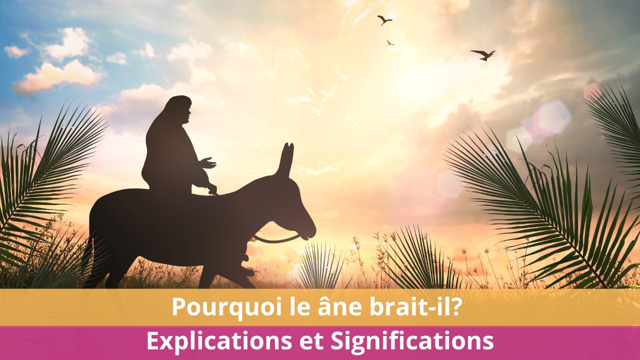 Pourquoi le ane brait-il ? Explications et Significations
