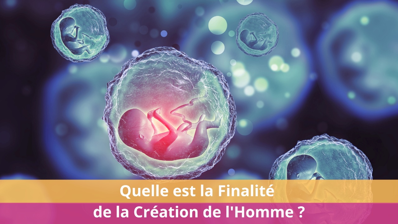Quelle est la Finalité de la Création de l'Homme ?